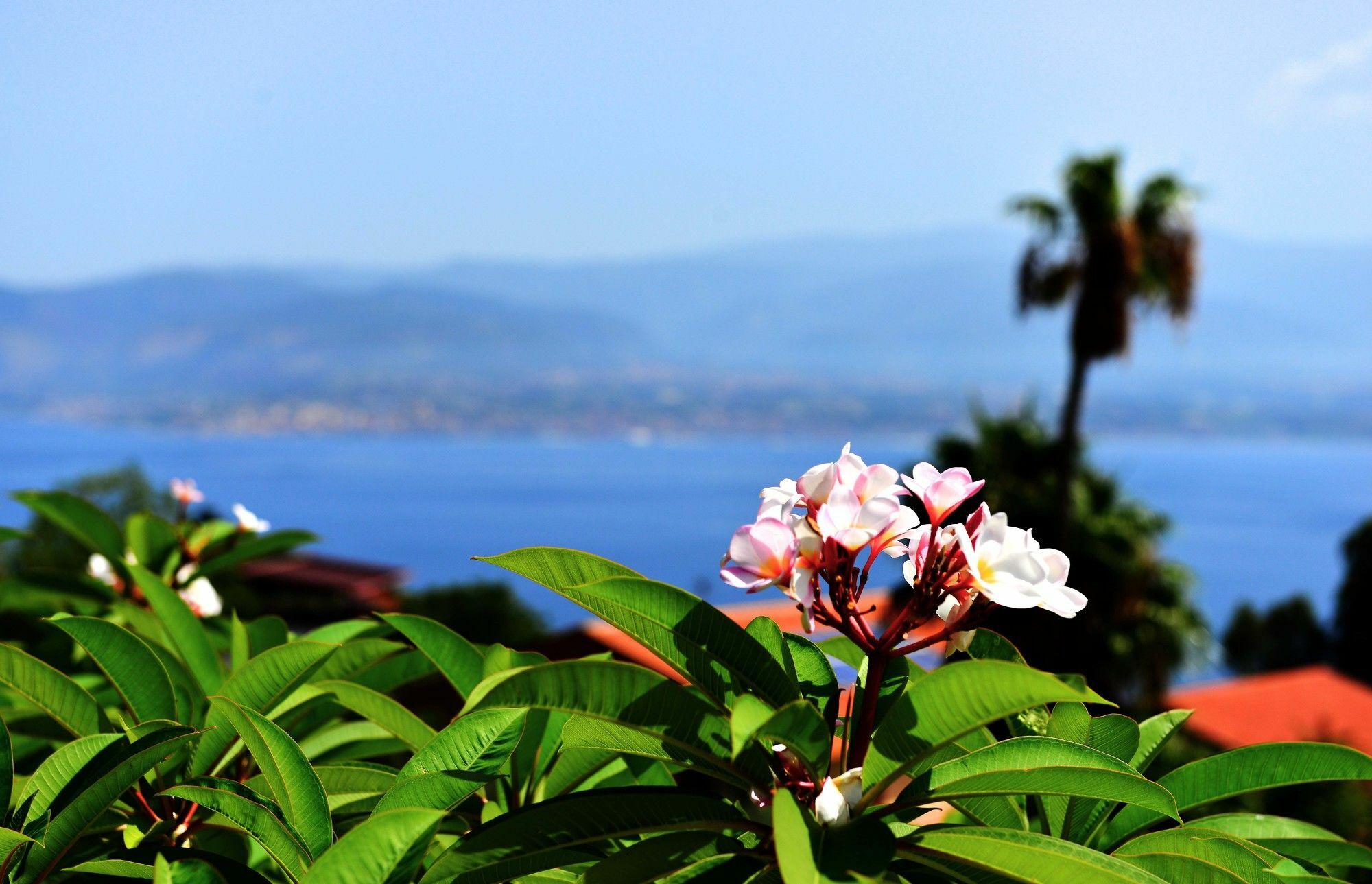 Villa Scilla E Cariddi Messina Bagian luar foto